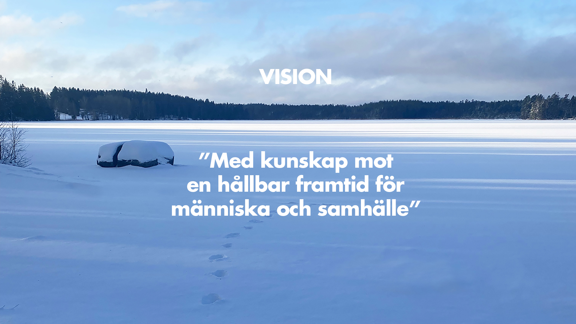 Leif Arvidsson AB vision